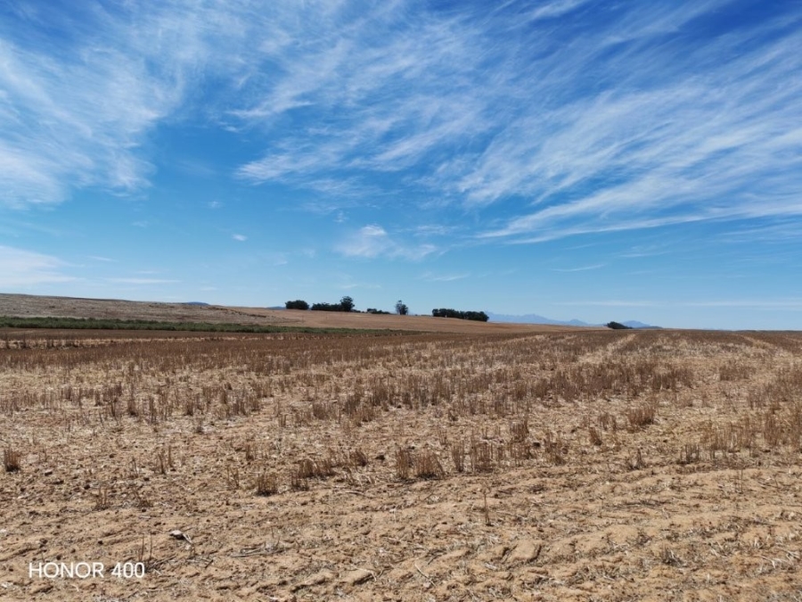 0 Bedroom Property for Sale in Hopefield Rural Western Cape